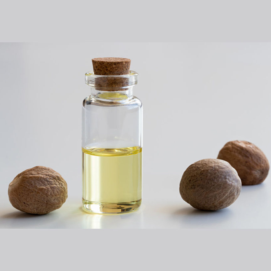 CANDLE NUT OIL (MINYAK KEMIRI) Insular Multi Natural