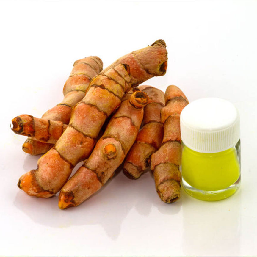 ZINGIBER CASSUMUNAR (BANGLE) EXTRACT - Insular Multi Natural