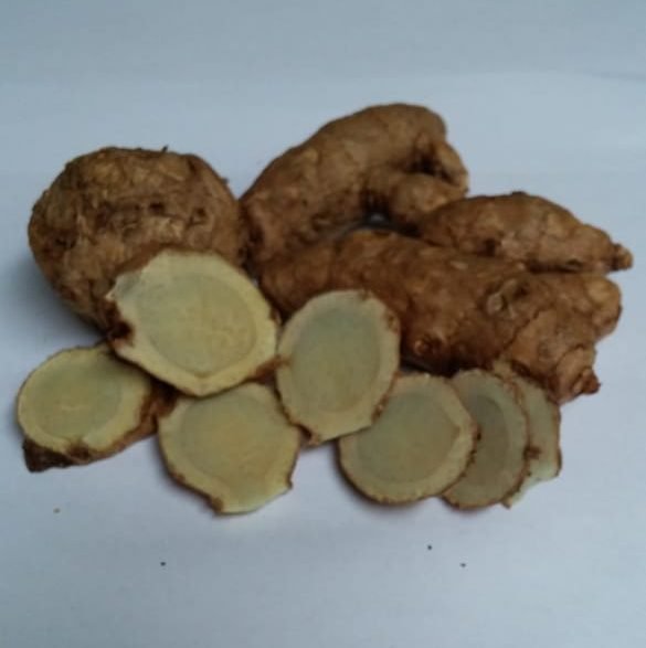 Curcuma Domestica Rhizoma Ekstrak Curcuma Domestica Rhizoma Ekstrak